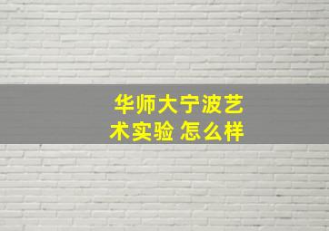 华师大宁波艺术实验 怎么样